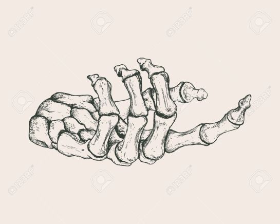 51916923-vector-vintage-illustration-of-hand-drawn-hand-skeleton-anatomical-or-medical-illustration-.jpg